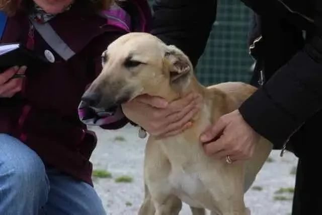 13118988 1016142521802936 3567564706272573811 n