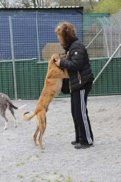 13118990 1016140815136440 8602043075968545611 n