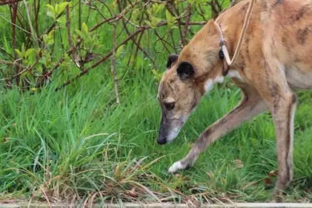 13119007 1016140421803146 2223145180550318786 n