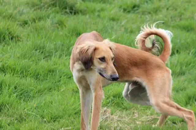 13119010 1016142251802963 3358441240023974569 n