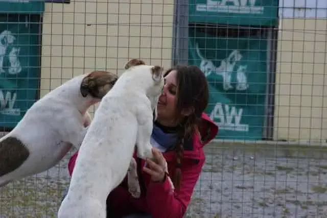 13119062 1016141205136401 6307992314981445062 n