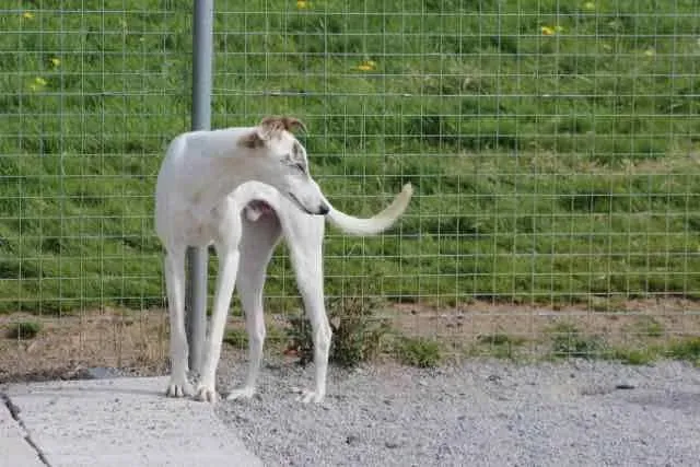 13119116 1016141495136372 4795950295390426247 n