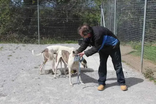 13119133 1016148208469034 1983221923502345426 n