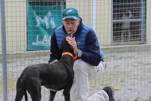 13124485 1016147531802435 4873620448641455507 n