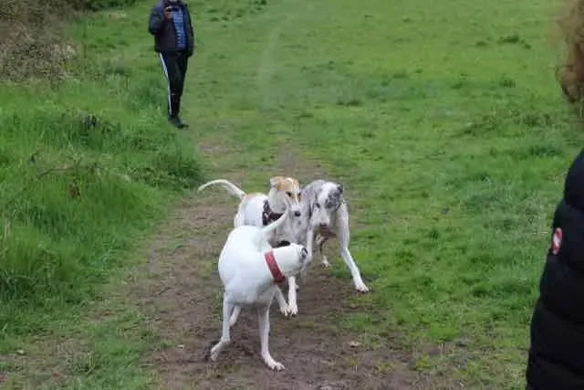 13124497 1016145555135966 8095986460633126618 n