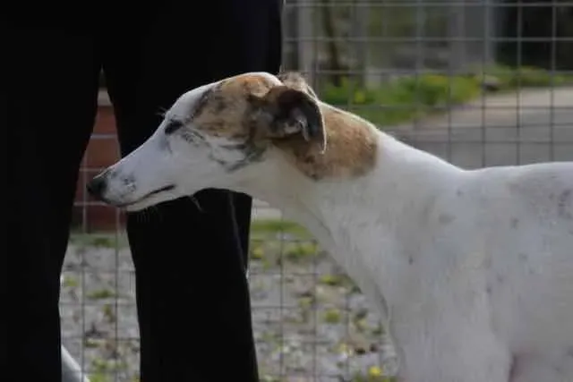 13124535 1016141435136378 7281107544055983485 n