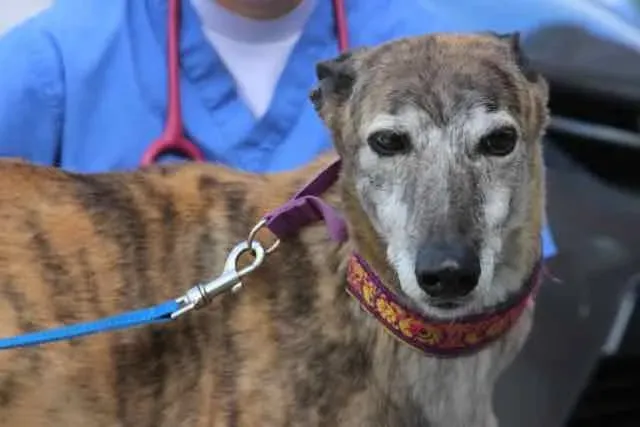 13124562 1016138311803357 4159835357250610923 n