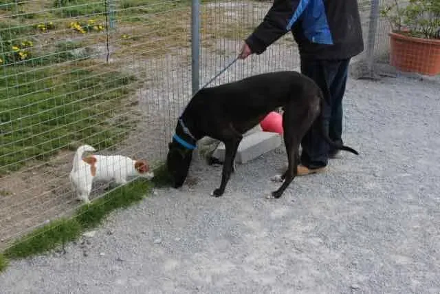 13124580 1016147721802416 8895647425058992150 n