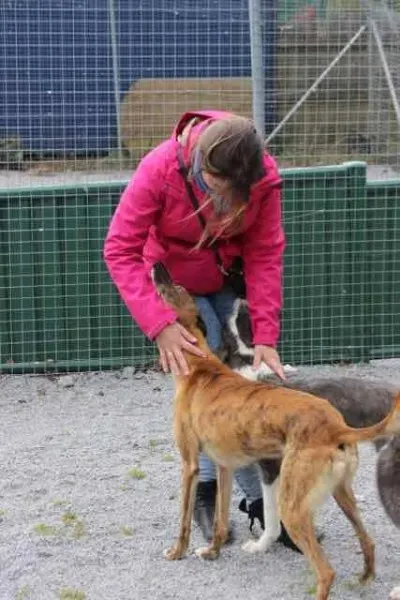 13124618 1016140858469769 2022634567423511204 n