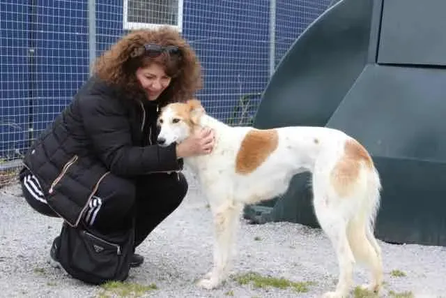 13124690 1016143925136129 7679873959114797578 n