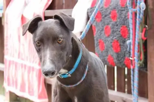 13124698 1016148428469012 5478345919114943934 n