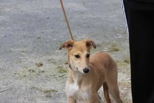 13124710 1016140185136503 7280697396750904744 n