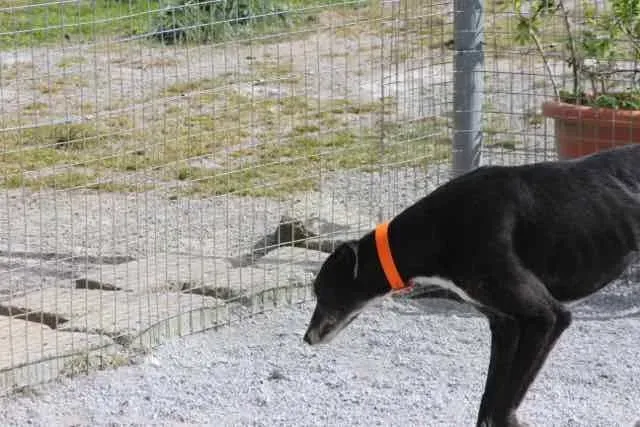 13124799 1016147371802451 6781894140487907 n