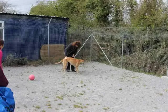 13124835 1016141755136346 2436154524819540441 n