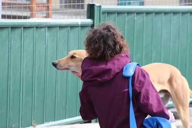 13124835 1016142008469654 6735338469057966101 n