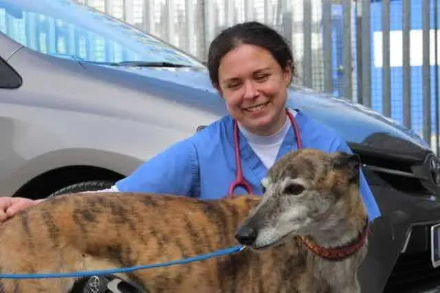 13124862 1016144881802700 8820533502838295897 n