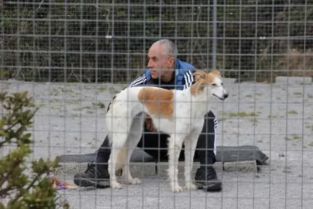 13124865 1016144018469453 6976171842744889318 n