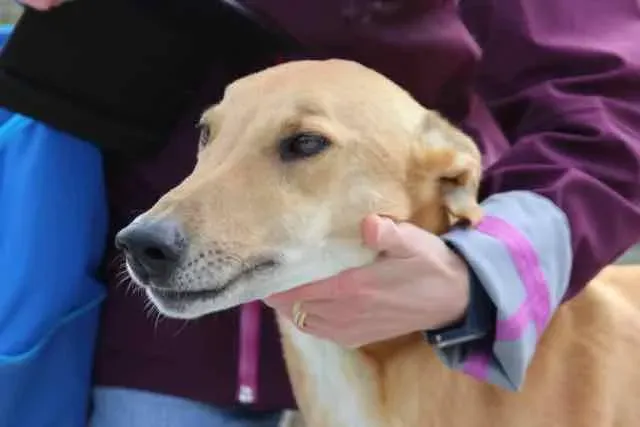 13124869 1016141598469695 6093777569688545217 n