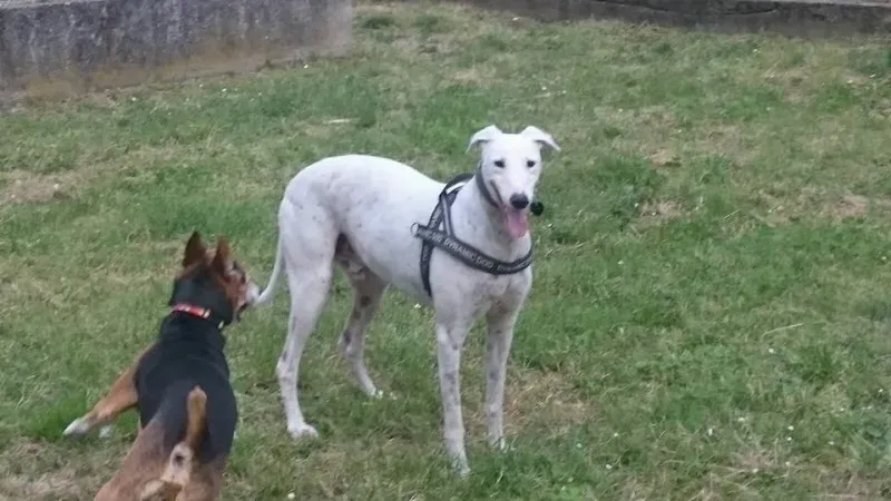 13124938 10207895017826058 5262689114700289745 n