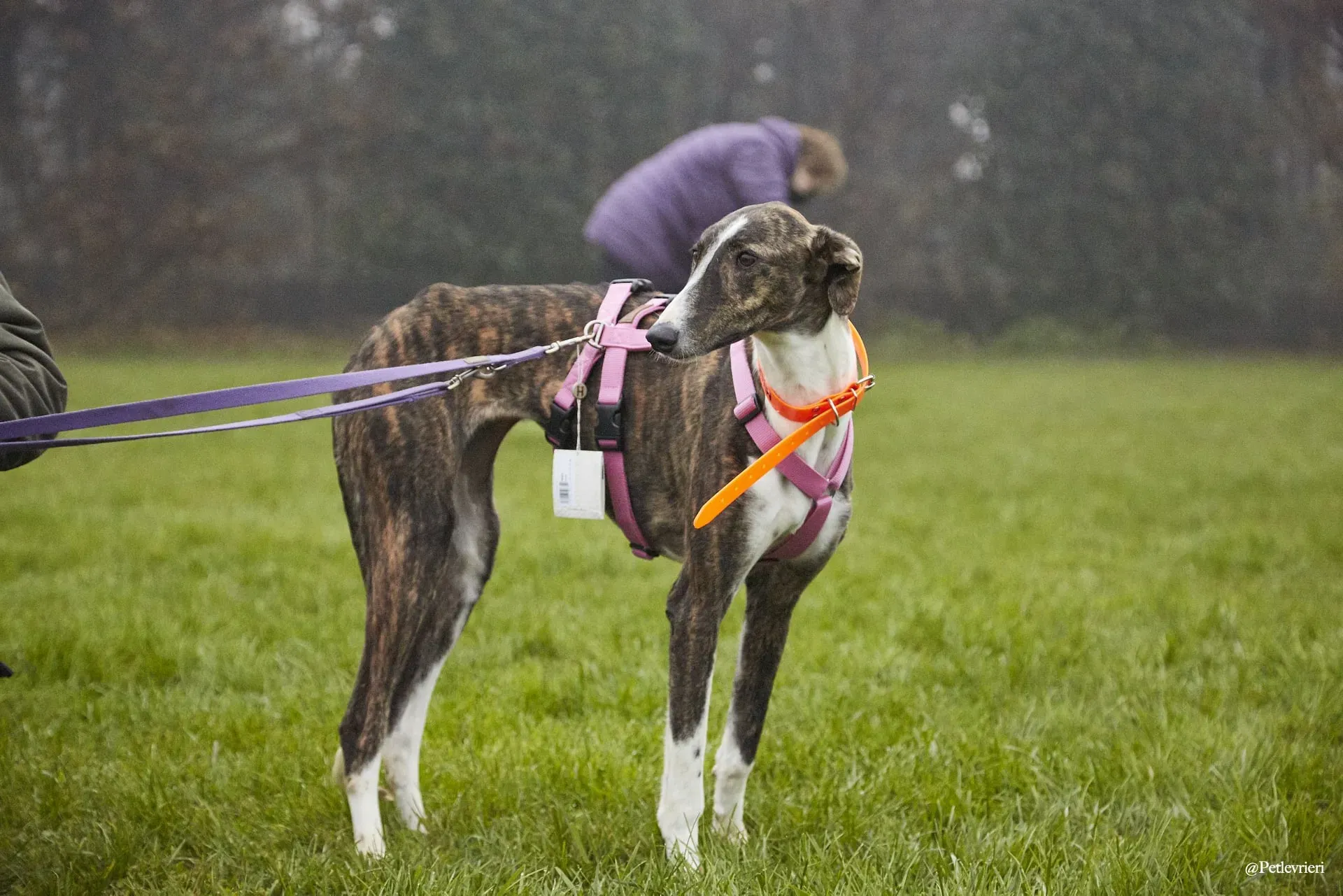 131308012 3586271328123363 2669200464668326314 o