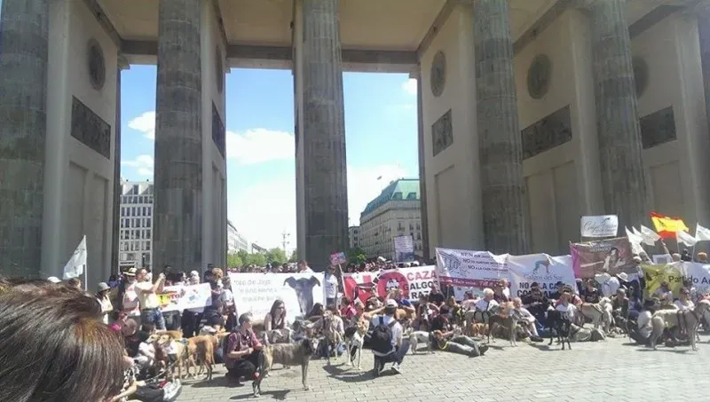 13133256 1719698738302304 646644123776238220 n