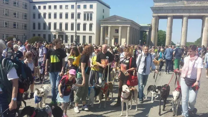 13138737 927479930683134 8987315184042308021 n