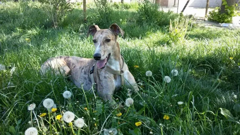 13138767 1727064250867305 5575008544064008866 n