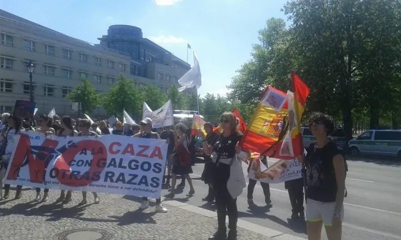 13138817 10209262365019947 2128338467741958063 n