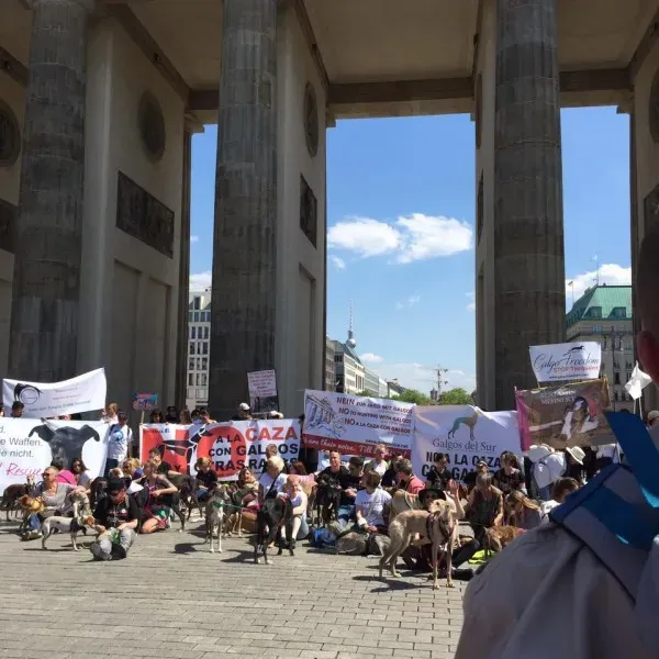 13138996 1043169195757768 5446485764879439043 n