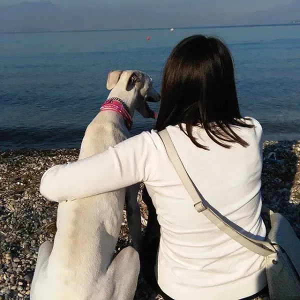 13139082 1023381414412380 6794593035802200561 n