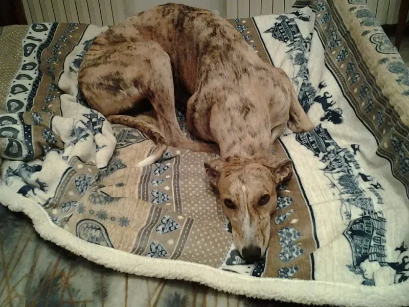 13139229 1727064210867309 2940297574452880931 n