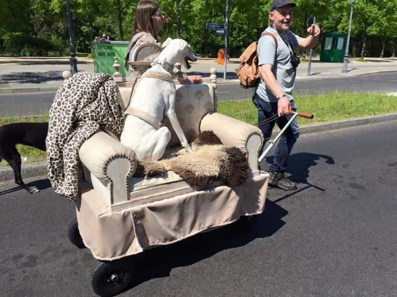 13139270 927479970683130 1664241943659959638 n