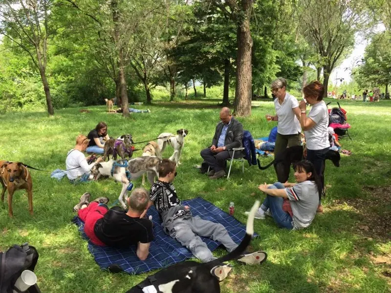 13139298 10154273270144432 8985126001941606529 n