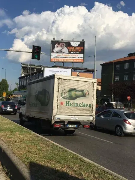 13141134 1036509919773944 1510630952 n