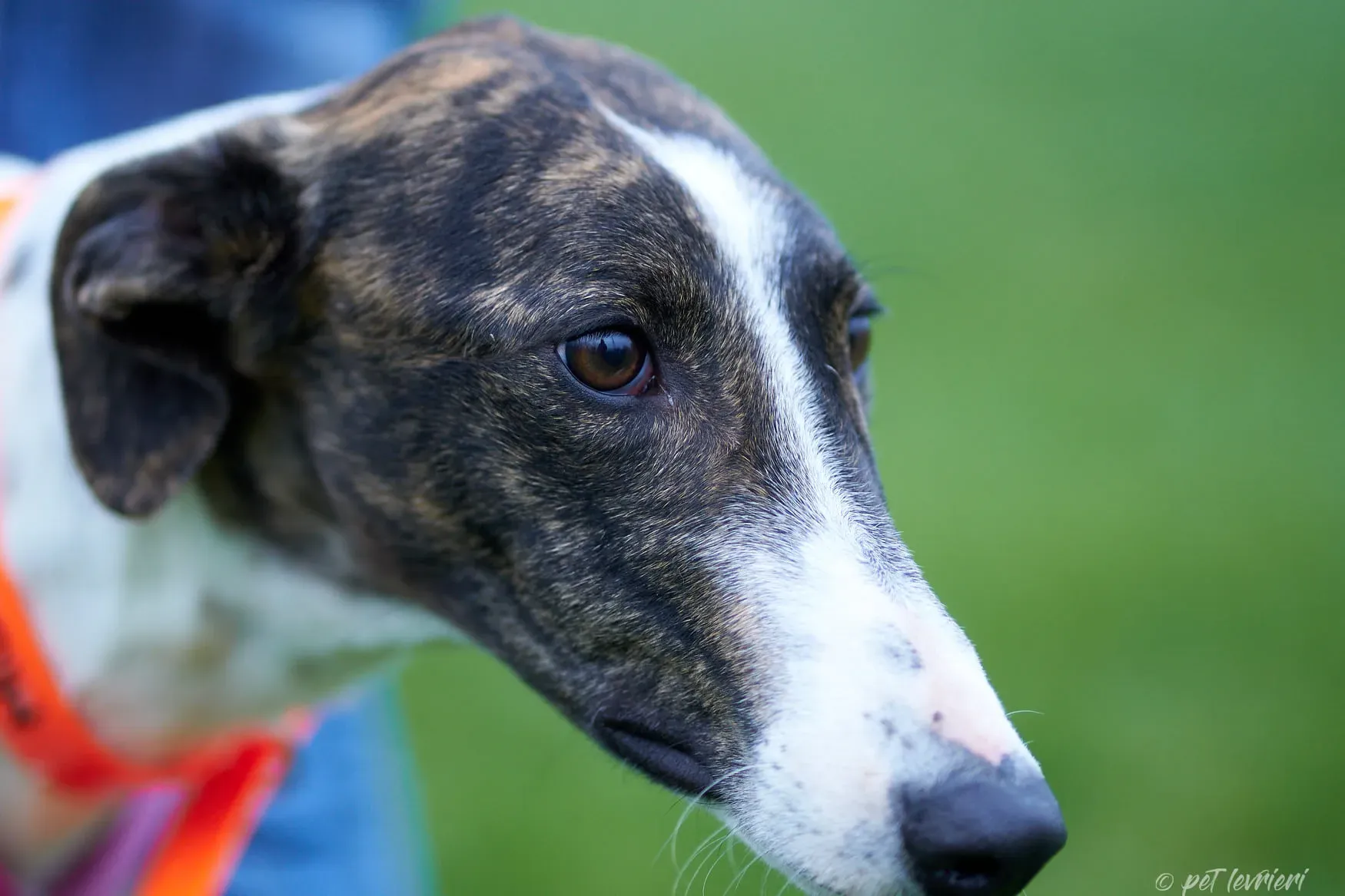 131431281 3583747245042438 7131015805031804829 o