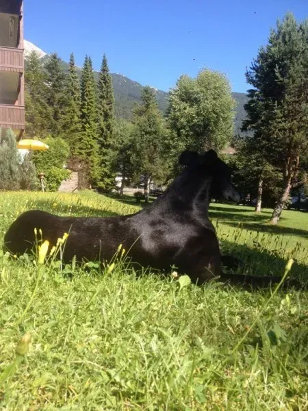 13147796 1019466958137159 3198534492897141268 o