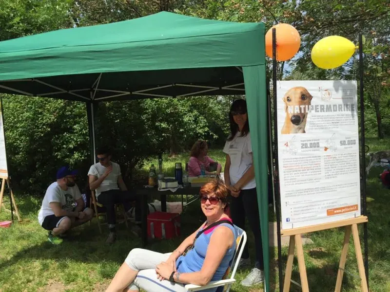 13151425 10154273270039432 6051355192398297064 n