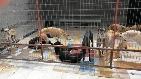 13151475 1025484114202110 5679913024312297764 n