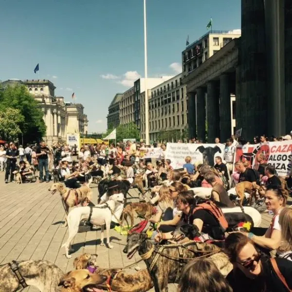 13151603 10154135542086069 2398171494369841063 n