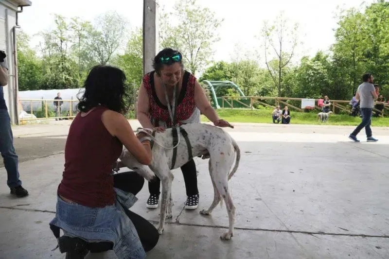 13151937 10207895015906010 3184047803709048892 n