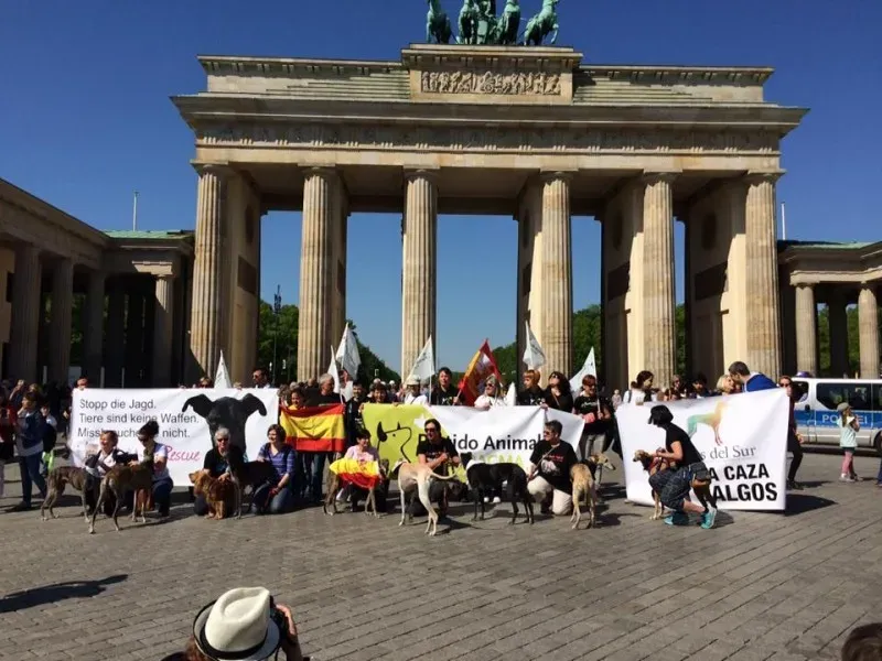 13151993 1728223397390187 4911905244156458421 n 1