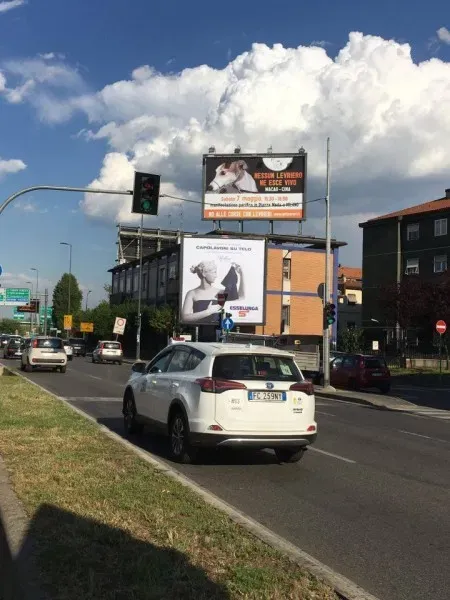 13153398 10154162501171563 44785364 n