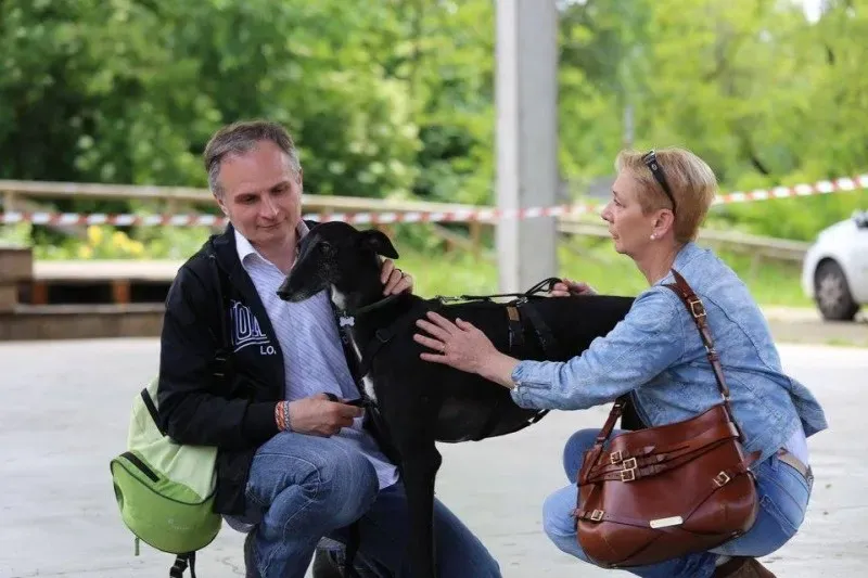 13165931 1026643760752812 5571764672482213358 n