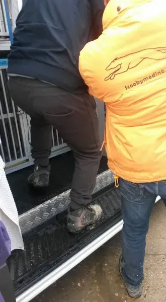 13165977 1025812850835903 2618957702891570707 n