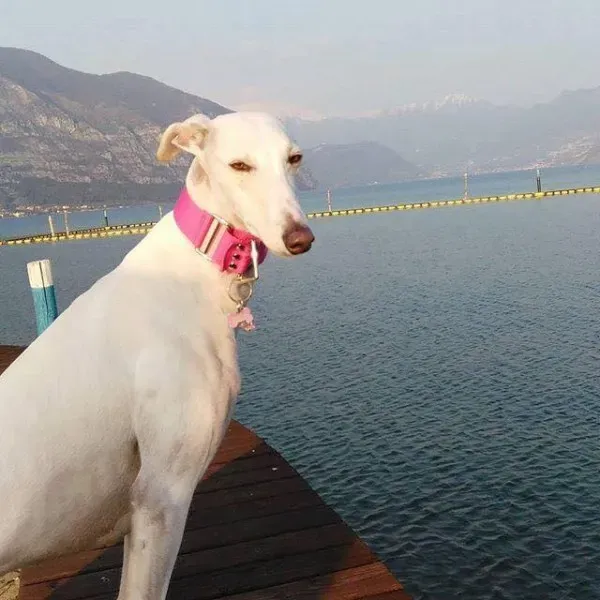 13166105 1023381281079060 6049432832558850528 n