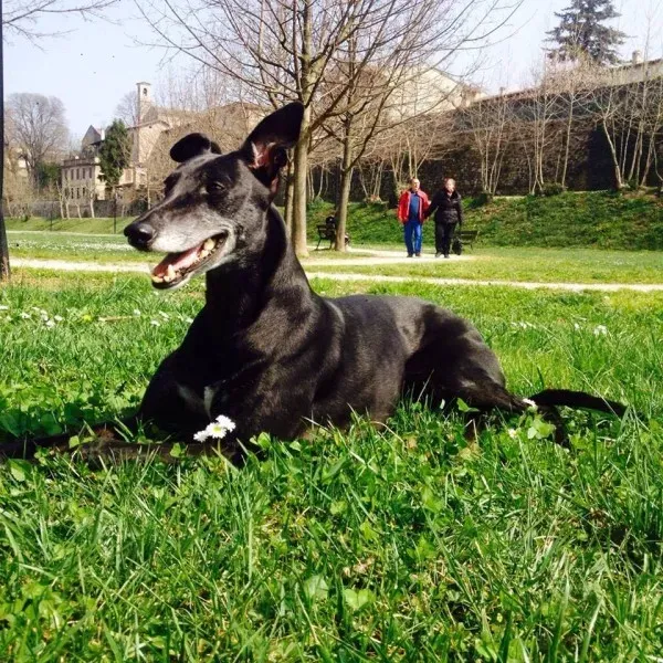 13166108 1019466998137155 8277340254573698780 n