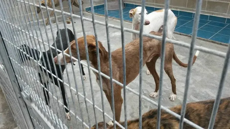 13173720 1025340357549819 7359305159824831992 n