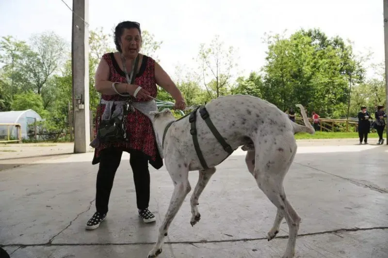 13173742 10207895016906035 1783033374613183965 n