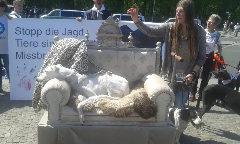 13173772 10209262361339855 5087987082430916825 n