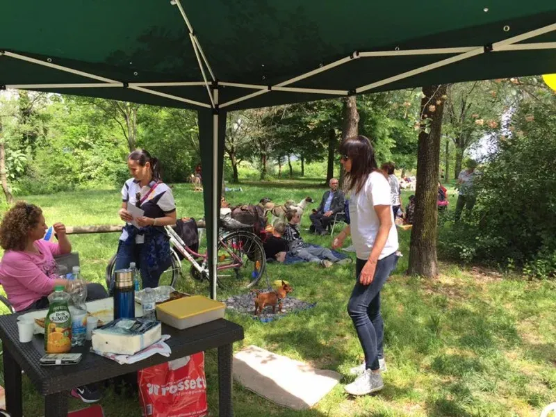 13173871 10154273270114432 7496328805273819270 n